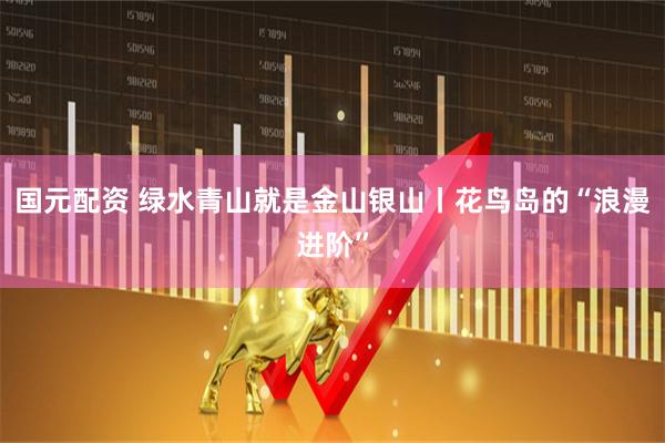 国元配资 绿水青山就是金山银山丨花鸟岛的“浪漫进阶”