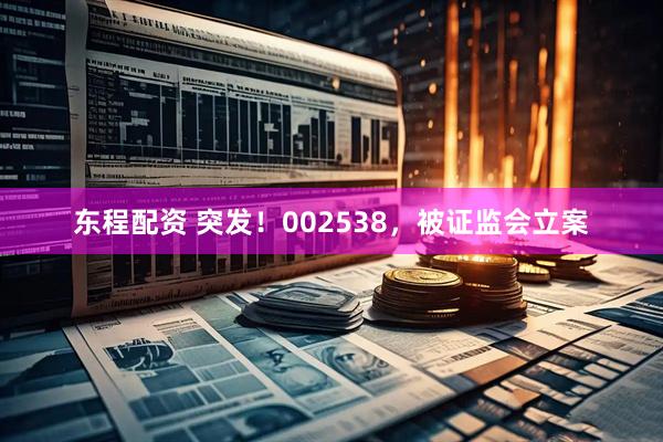 东程配资 突发！002538，被证监会立案