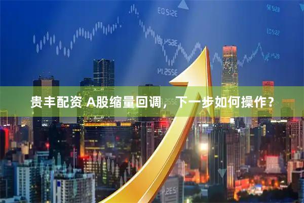 贵丰配资 A股缩量回调，下一步如何操作？