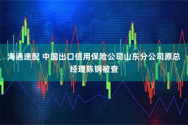 海通速配 中国出口信用保险公司山东分公司原总经理陈钢被查