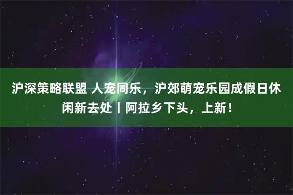 沪深策略联盟 人宠同乐，沪郊萌宠乐园成假日休闲新去处丨阿拉乡下头，上新！